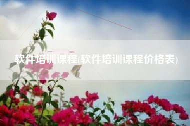 软件培训课程(软件培训课程价格表)