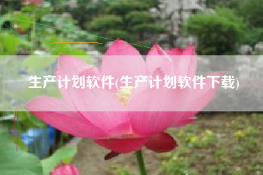 生产计划软件(生产计划软件下载)