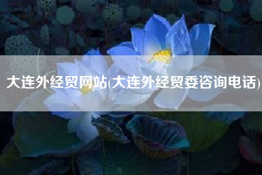 大连外经贸网站(大连外经贸委咨询电话)