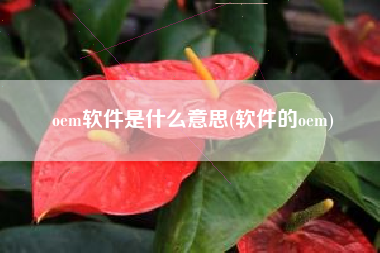 oem软件是什么意思(软件的oem)
