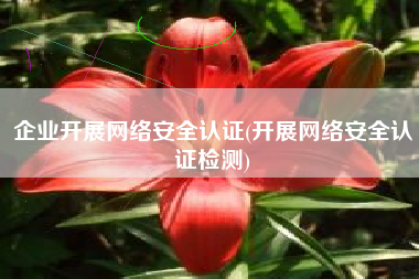 企业开展网络安全认证(开展网络安全认证检测)