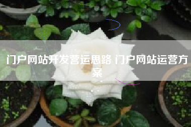 门户网站开发营运思路 门户网站运营方案