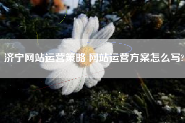 济宁网站运营策略 网站运营方案怎么写?