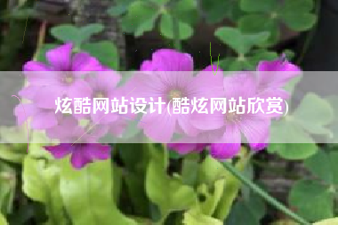 炫酷网站设计(酷炫网站欣赏)