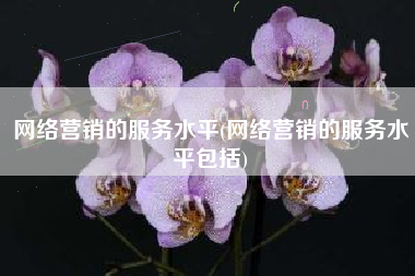 网络营销的服务水平(网络营销的服务水平包括)