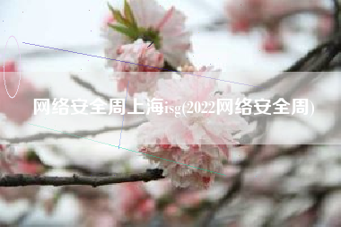 网络安全周上海isg(2022网络安全周)