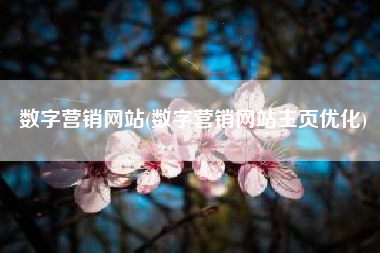 数字营销网站(数字营销网站主页优化)