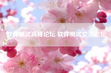 软件测试高峰论坛 软件测试交流论坛