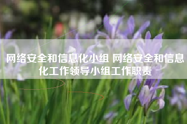 网络安全和信息化小组 网络安全和信息化工作领导小组工作职责
