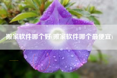 搬家软件哪个好(搬家软件哪个最便宜)