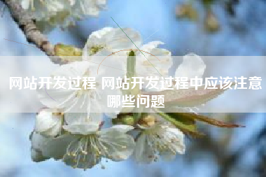 网站开发过程 网站开发过程中应该注意哪些问题