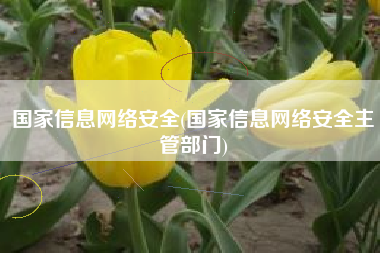 国家信息网络安全(国家信息网络安全主管部门)