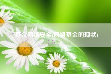 基金网络安全(网络基金的现状)