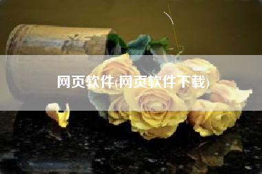 网页软件(网页软件下载)