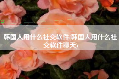 韩国人用什么社交软件(韩国人用什么社交软件聊天)