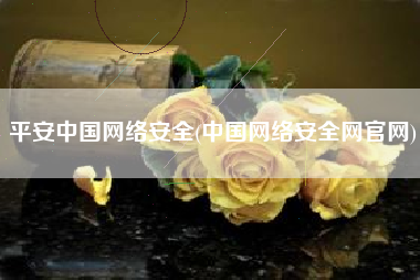 平安中国网络安全(中国网络安全网官网)