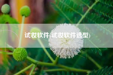 试妆软件(试妆软件选型)