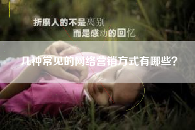 几种常见的网络营销方式有哪些？