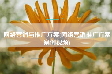 网络营销与推广方案(网络营销推广方案案例视频)
