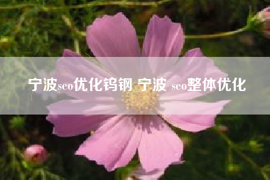 宁波seo优化钨钢 宁波 seo整体优化