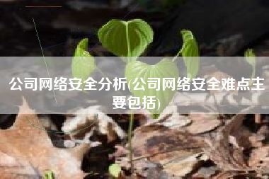 公司网络安全分析(公司网络安全难点主要包括)