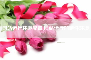 网站运行环境配置(网站运行的硬件环境)