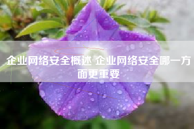 企业网络安全概述 企业网络安全哪一方面更重要