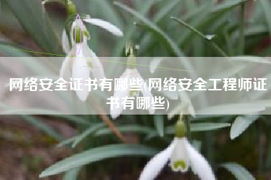 网络安全证书有哪些(网络安全工程师证书有哪些)