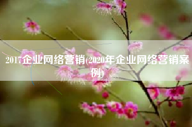 2017企业网络营销(2020年企业网络营销案例)