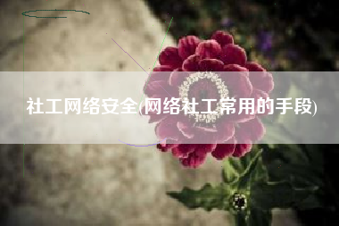 社工网络安全(网络社工常用的手段)