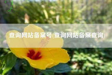 查询网站备案号(查询网站备案查询)