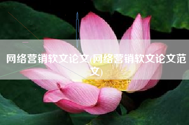 网络营销软文论文(网络营销软文论文范文)