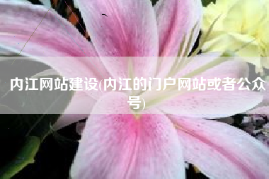 内江网站建设(内江的门户网站或者公众号)