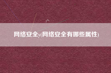 网络安全y(网络安全有哪些属性)