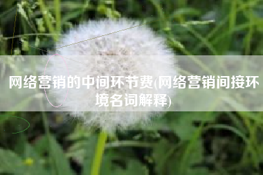 网络营销的中间环节费(网络营销间接环境名词解释)