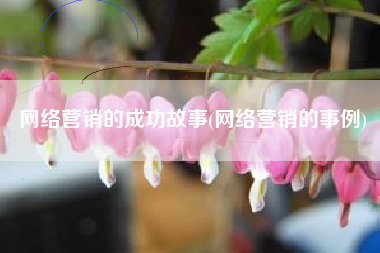 网络营销的成功故事(网络营销的事例)