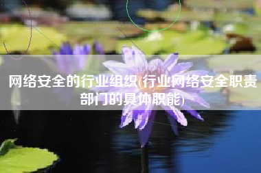 网络安全的行业组织(行业网络安全职责部门的具体职能)