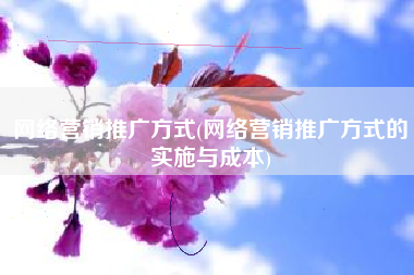 网络营销推广方式(网络营销推广方式的实施与成本)