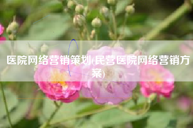 医院网络营销策划(民营医院网络营销方案)