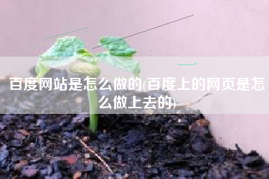 百度网站是怎么做的(百度上的网页是怎么做上去的)