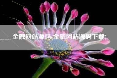 金融网站源码(金融网站源码下载)