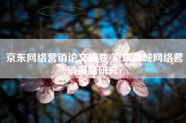 京东网络营销论文摘要(京东商城网络营销策略研究)