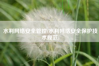 水利网络安全管控(水利网络安全保护技术规范)
