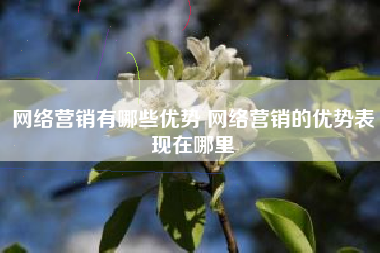网络营销有哪些优势 网络营销的优势表现在哪里