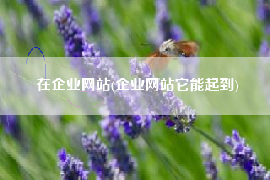 在企业网站(企业网站它能起到)