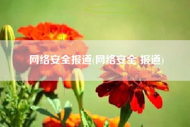 网络安全报道(网络安全 报道)