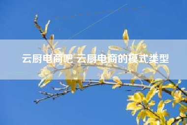 云厨电商吧 云厨电商的模式类型