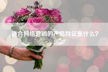 适合网络营销的产品特征是什么？