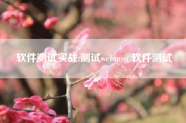 软件测试实战:测试webmsn 软件测试