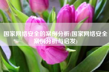 国家网络安全的案例分析(国家网络安全案例分析与启发)